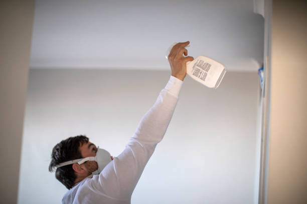 Best Residential Mold Removal  in Ave Maria, FL