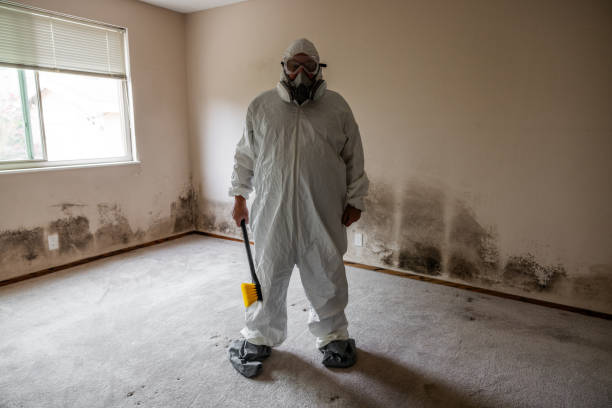 Best Commercial Mold Removal  in Ave Maria, FL
